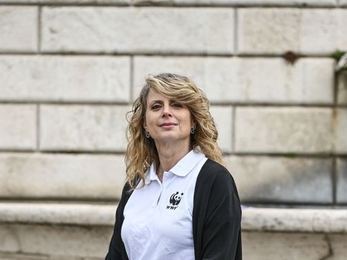 Vertice sull'inquinamento da plastica: il WWF critica il mancato accordo