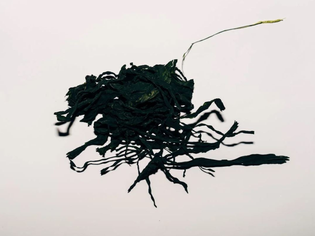 Il cibo che aiuta il pianeta: la rivoluzione dei cibi carbon negative