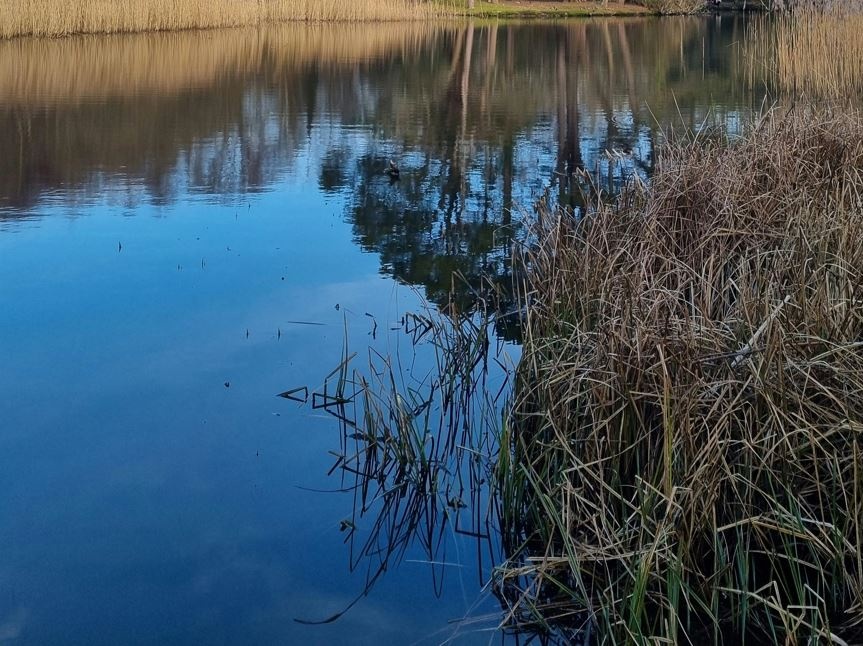 Allarme Legambiente: bonifiche in stallo, ritardi e reati fermano il risanamento
