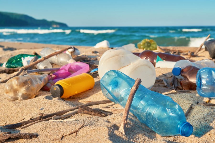 WWF chiede un nuovo approccio per il trattato globale contro l’inquinamento da plastica