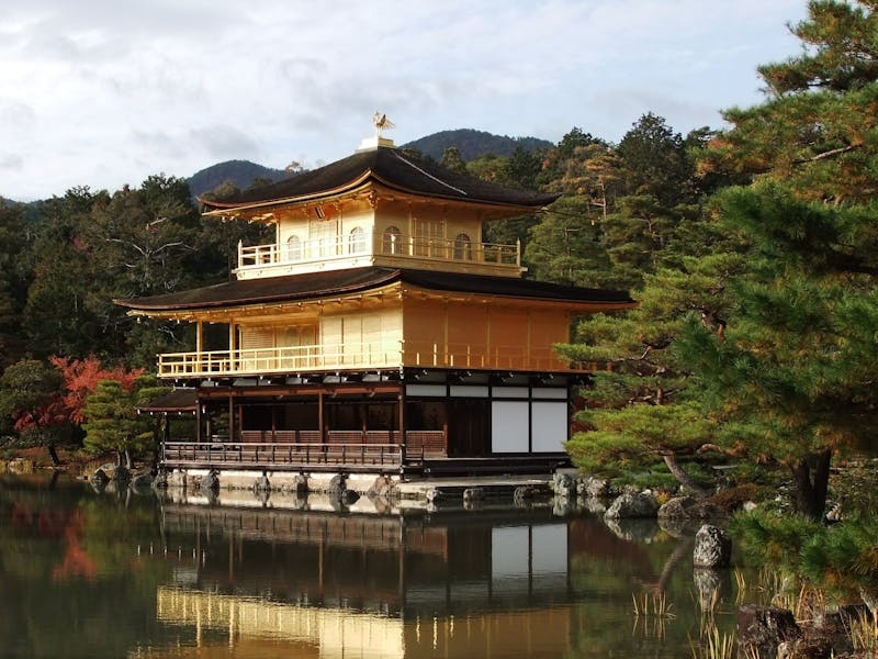 Murakami: in una mostra a Londra, Kyoto rinasce tra i fiori con l’AI