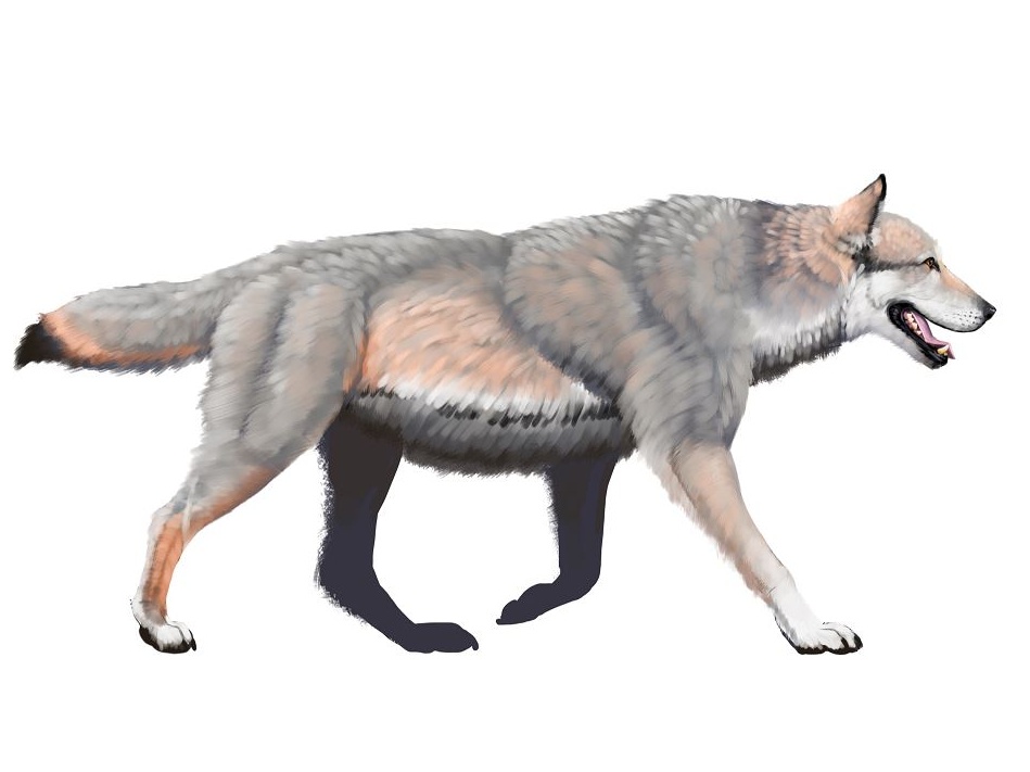 Il ritorno del lupo terribile: il sottile confine tra progresso scientifico e hybris