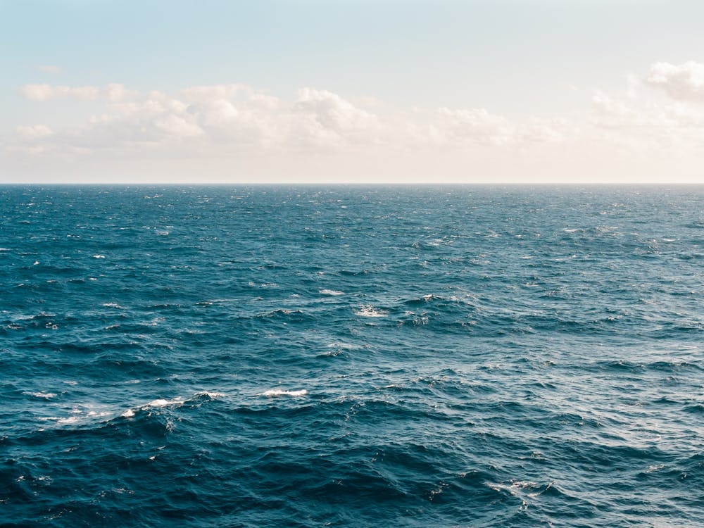 GhostNetZero, l’app contro le ''reti fantasma'' per salvare i nostri mari