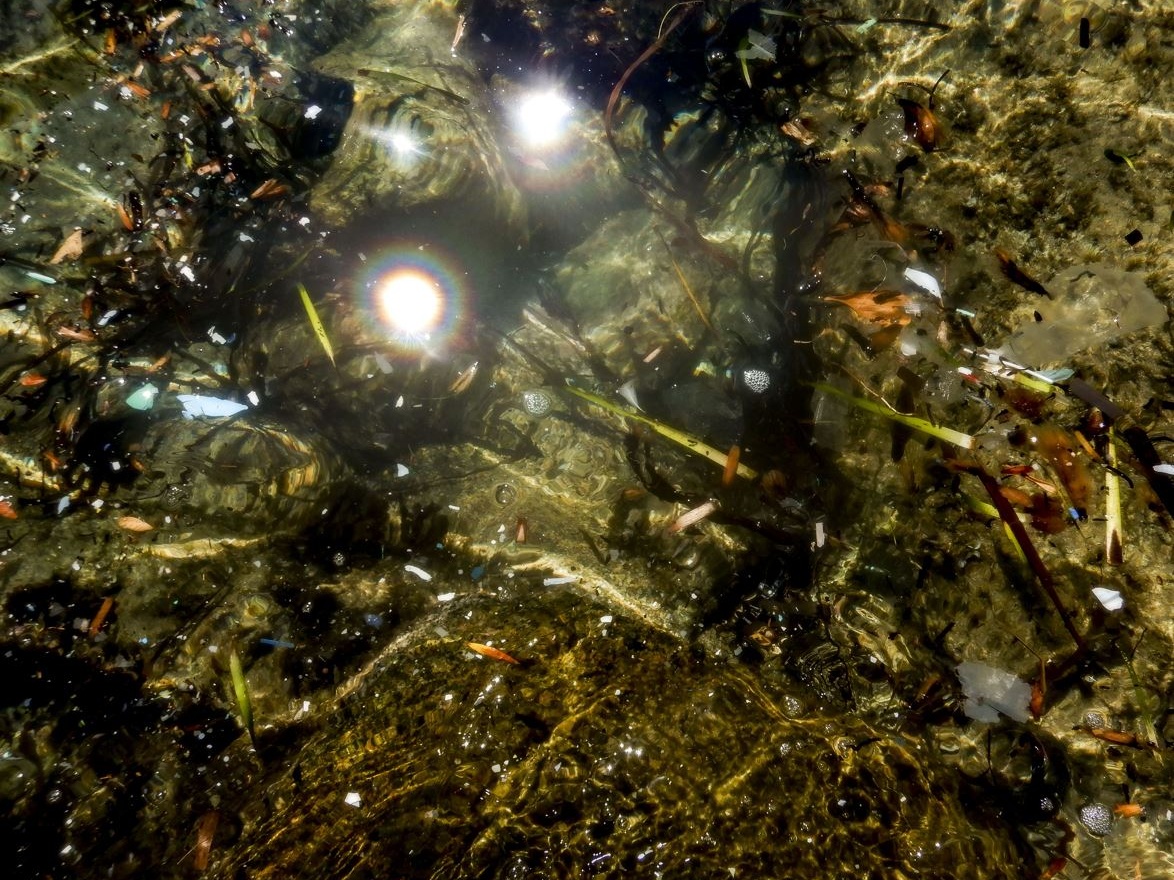Il veleno invisibile: viaggio nel mondo sommerso delle microplastiche