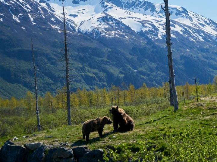 Orsi: la lezione (dimenticata) di Pettorano sul Gizio