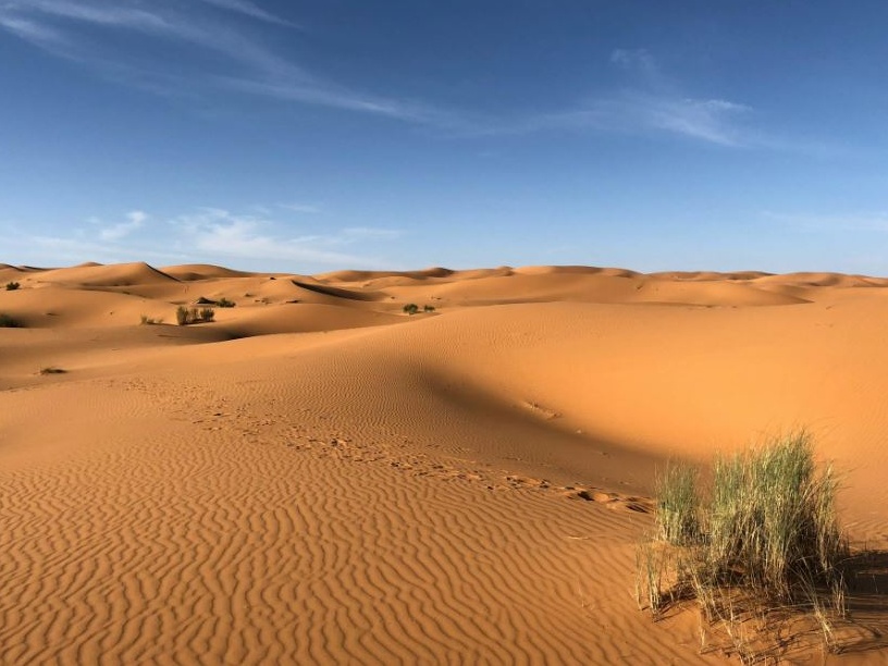 Svelati i primi genomi del Sahara Verde, un’eredità genetica di 7000 anni fa