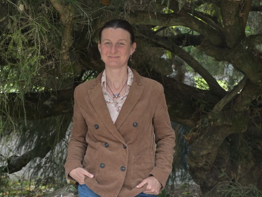 Microforeste urbane e alberi in piazza, così le città italiane combattono il caldo estremo