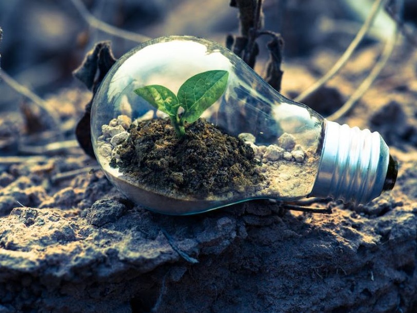 Assurance e sostenibilità, la nuova sfida per le imprese