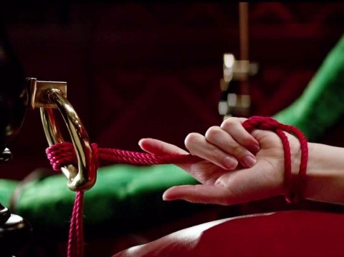 50 sfumature di vigile urbano