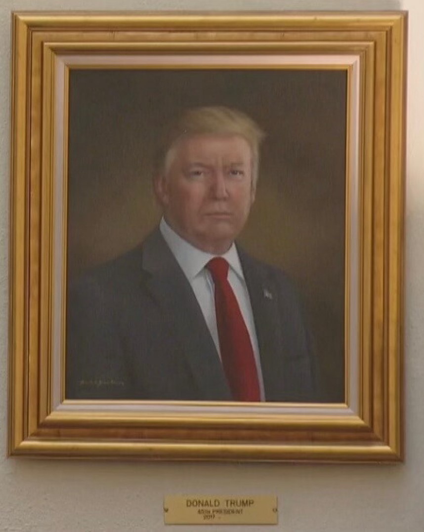 Ma quale Ucraina, quale Gaza: il problema di Trump è un brutto quadro