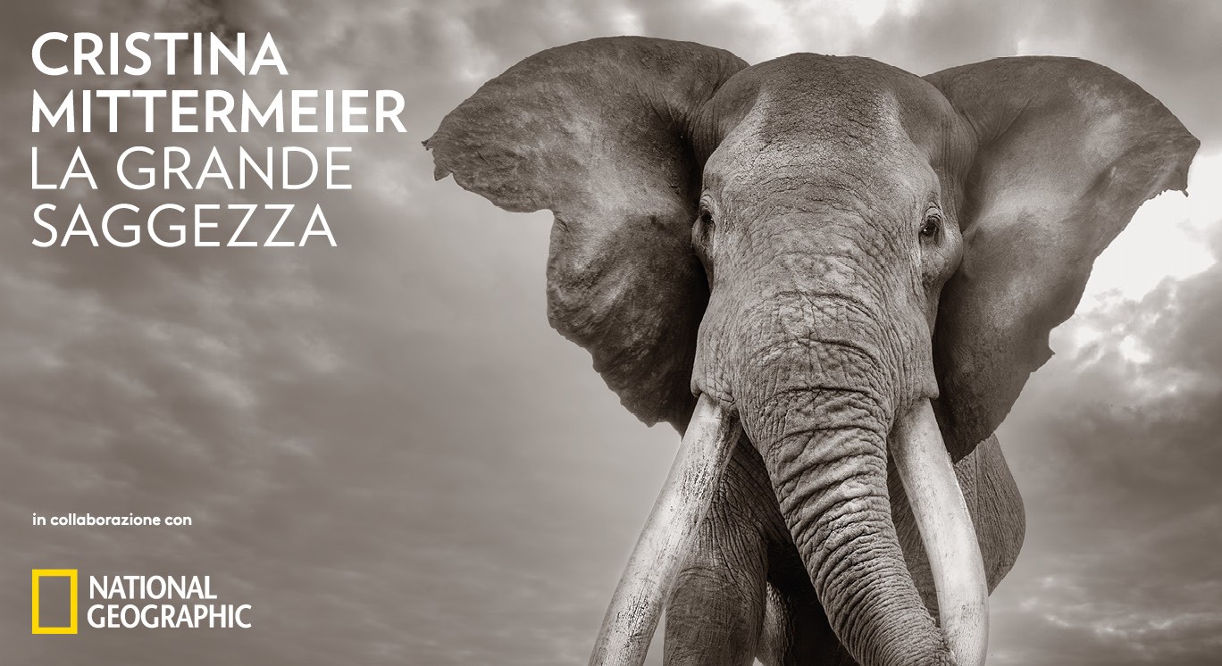 La Grande Saggezza a Vicenza: Cristina Mittermeier racconta il mondo alle Gallerie d'Italia