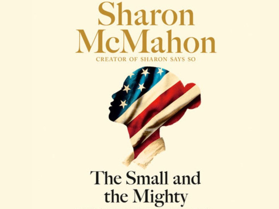 Letteratura, Piccoli e potenti: il coraggio di dodici sconosciuti che hanno cambiato l’America