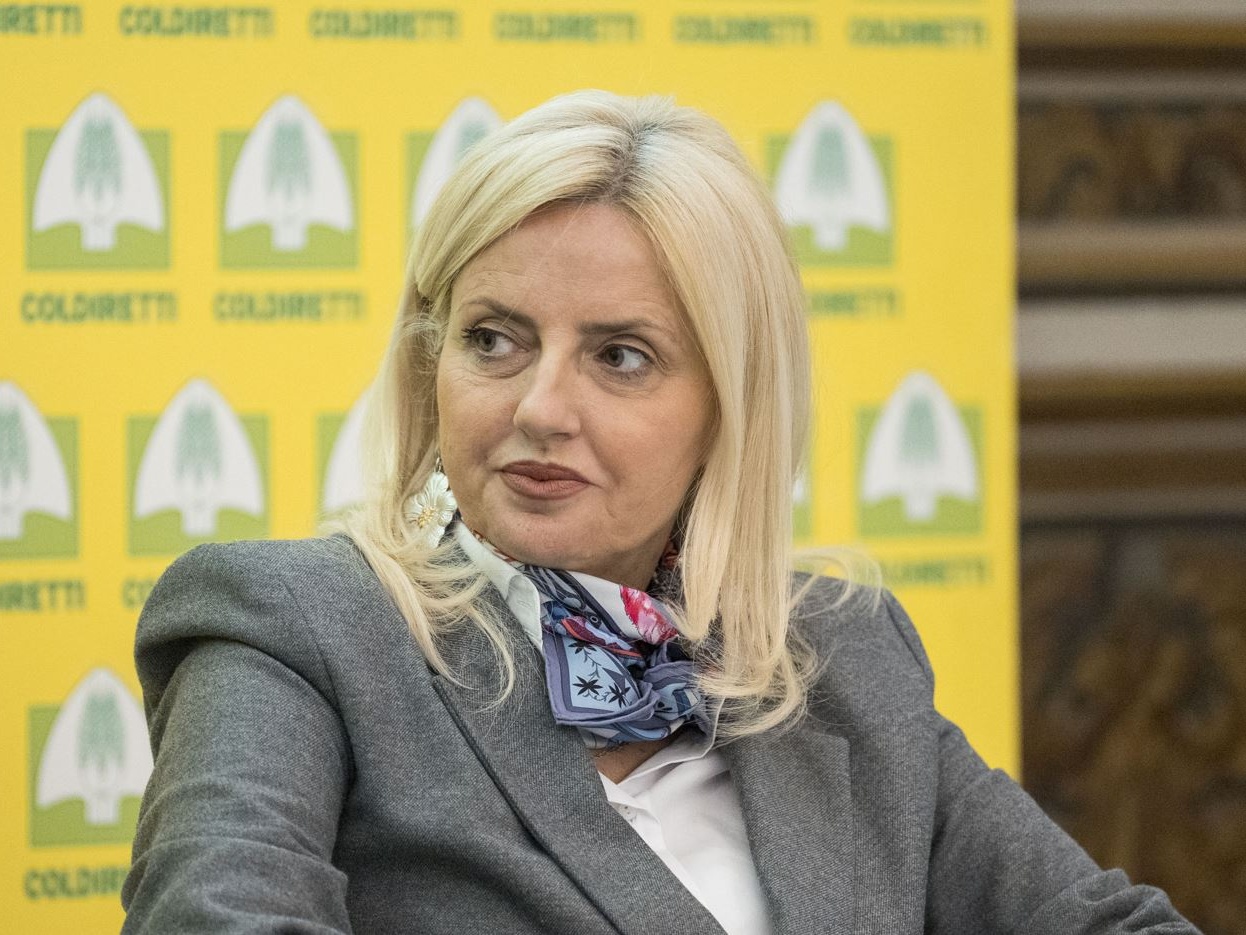 Enoturismo in crescita: +10% in Italia grazie a esperienze innovative (Coldiretti/Terranostra)