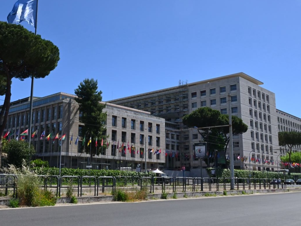 Crollo del commercio globale di legno e carta: l’analisi della FAO