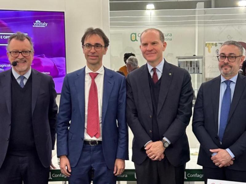 L'Economia del vino: Strategie, sfide e opportunità tra Europa e competitività