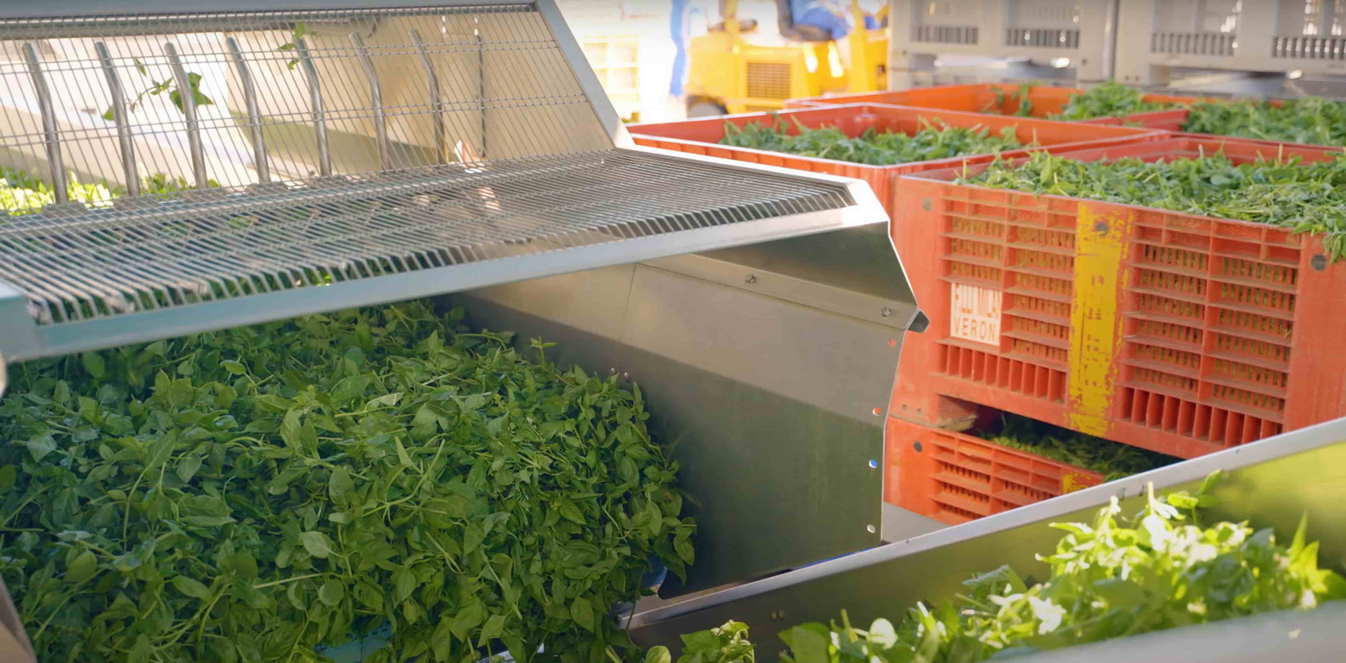 Agroalimentare italiano leader in Europa con record di export e innovazione