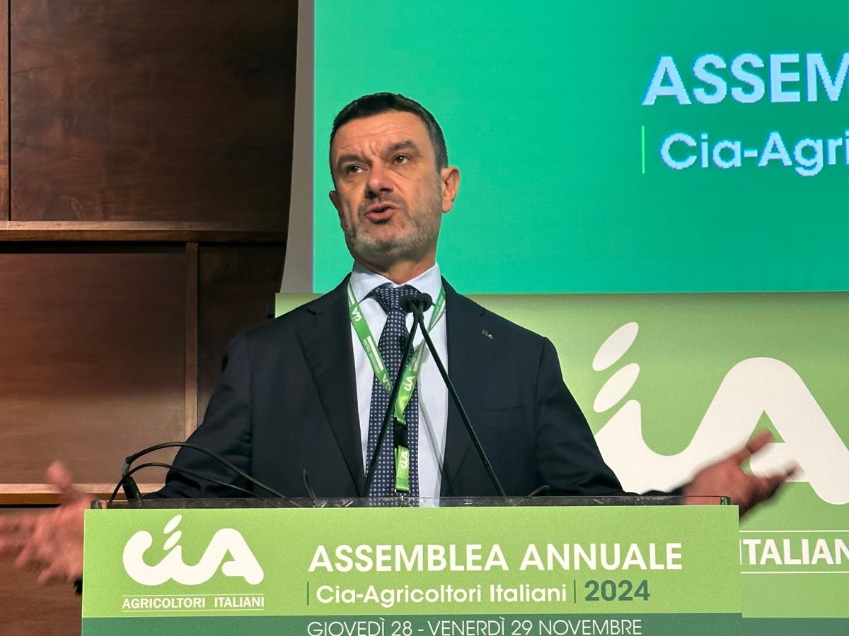 Assemblea Cia: aree interne e svantaggiate diventino zone franche