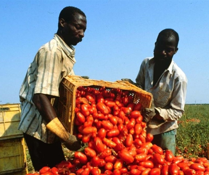 Rapporto annuale economia dell'Immigrazione: dai lavoratori l'8,8 % del PIL italiano