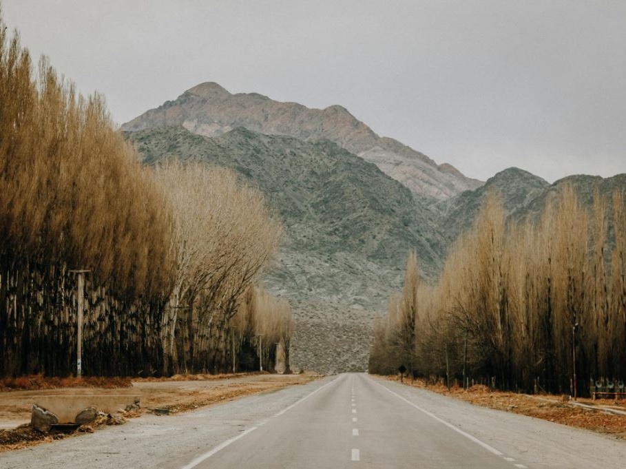 Argentina: annata agricola da record fa sperare in un forte afflusso di valuta pregiata