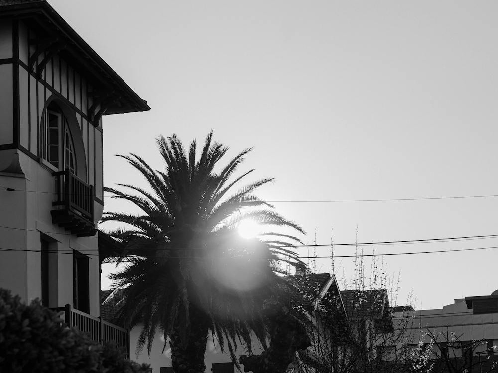 Il tribunale cancella a Biarritz il nome del quartiere della Négresse, troppo divisivo