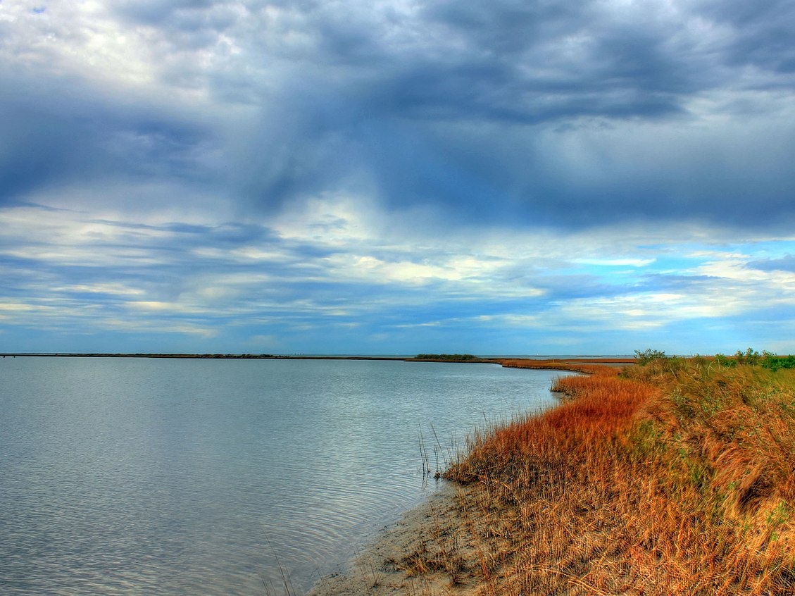 Google si piega a Trump: il Golfo del Messico rinominato golfo d'America