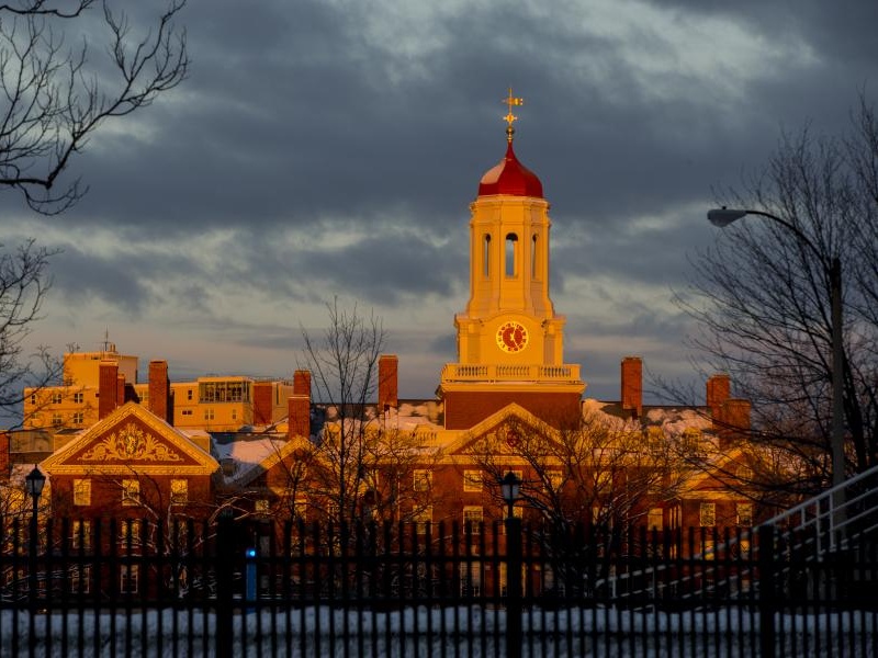 Harvard rinuncia ai dagherrotipi degli schiavi, restituendoli alla memoria collettiva