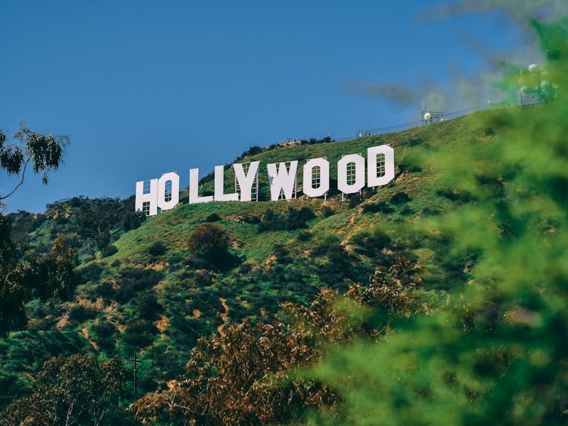 Incendi: le star di Hollywood raccontano la distruzione delle loro ville