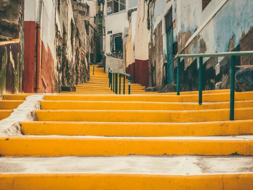 Spagna, condannato a 12 mesi per aver ucciso il cane della compagna: primo caso di “violenza vicaria” riconosciuta