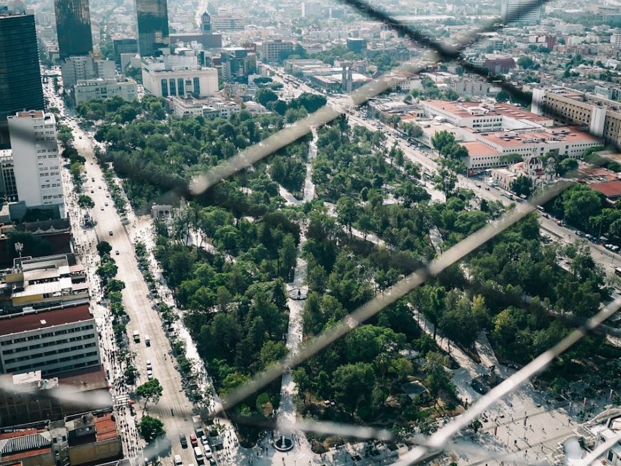 Droga, Trump minaccia di colpire i narcos in Messico; Sheinbaum: Non accadrà