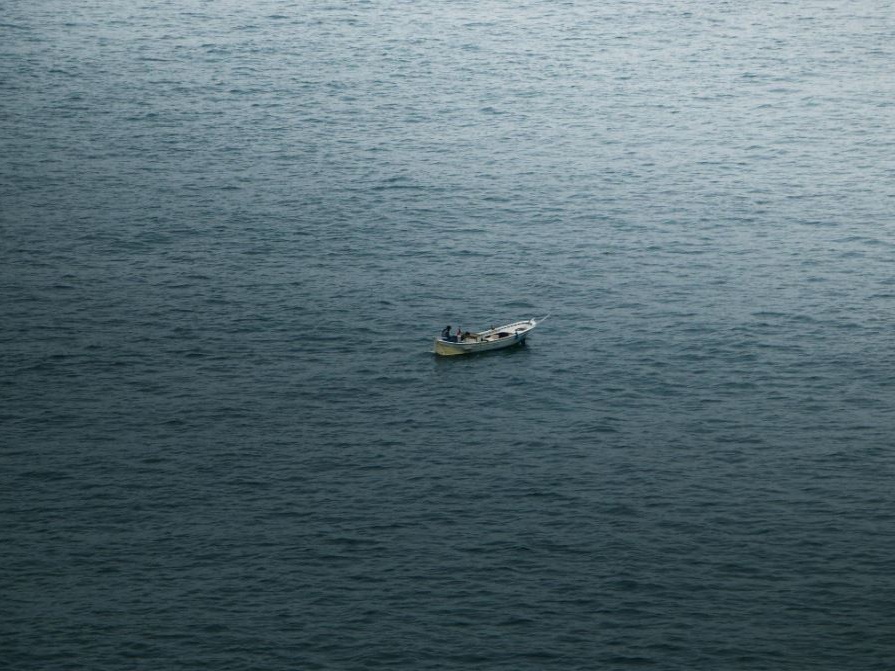 Mediterraneo e Mar Nero: stock sovrasfruttati al 52%, ma la pressione di pesca crolla