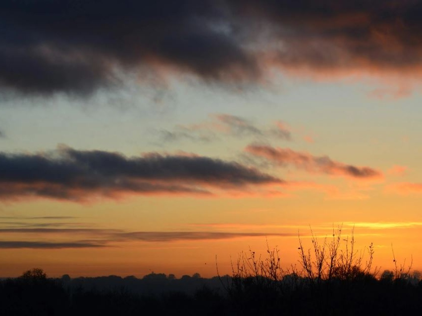 Francia, processo a chirurgo pedofilo: si cercano altre vittime oltre le 299 accertate