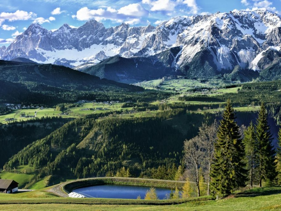 MammAlps: l'Intelligenza artificiale al servizio della fauna alpina