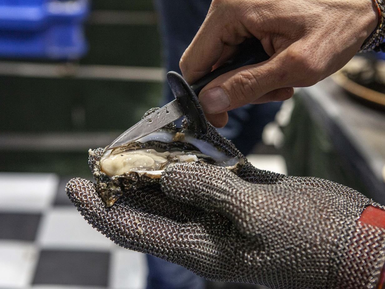 Più ostriche per tutti