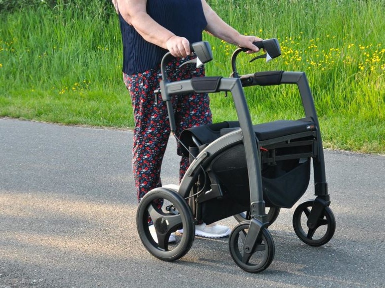 I cani rilevano il Parkinson dall'odore: uno studio apre nuove frontiere diagnostiche