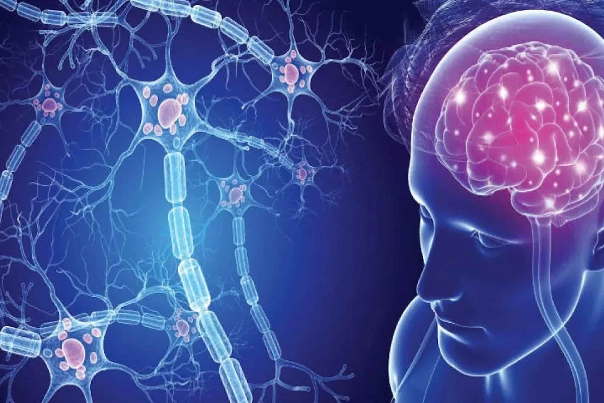 Stress e sclerosi multipla: studio israeliano evidenzia un aumento dell’attività della malattia durante i primi tre mesi di guerra