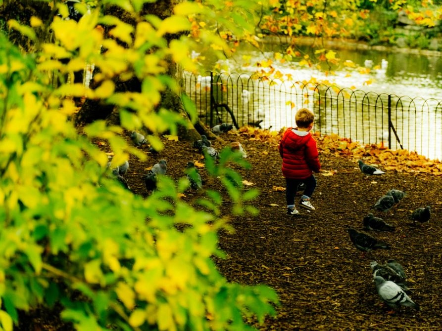 Giornata dell'Infanzia, UNICEF: un bambino su cinque non gioca mai con gli adulti