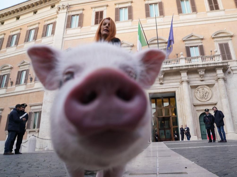 Dalla parte degli animali, ma anche di altri: Report racconta il regno di Vittoria Brambilla