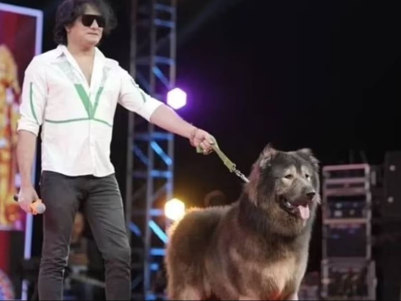 Amore o business? Il caso del cane da cinque milioni di euro