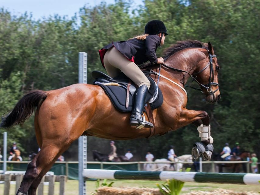 ICSC e FISE firmano un protocollo per sostenere lo sviluppo degli sport equestri