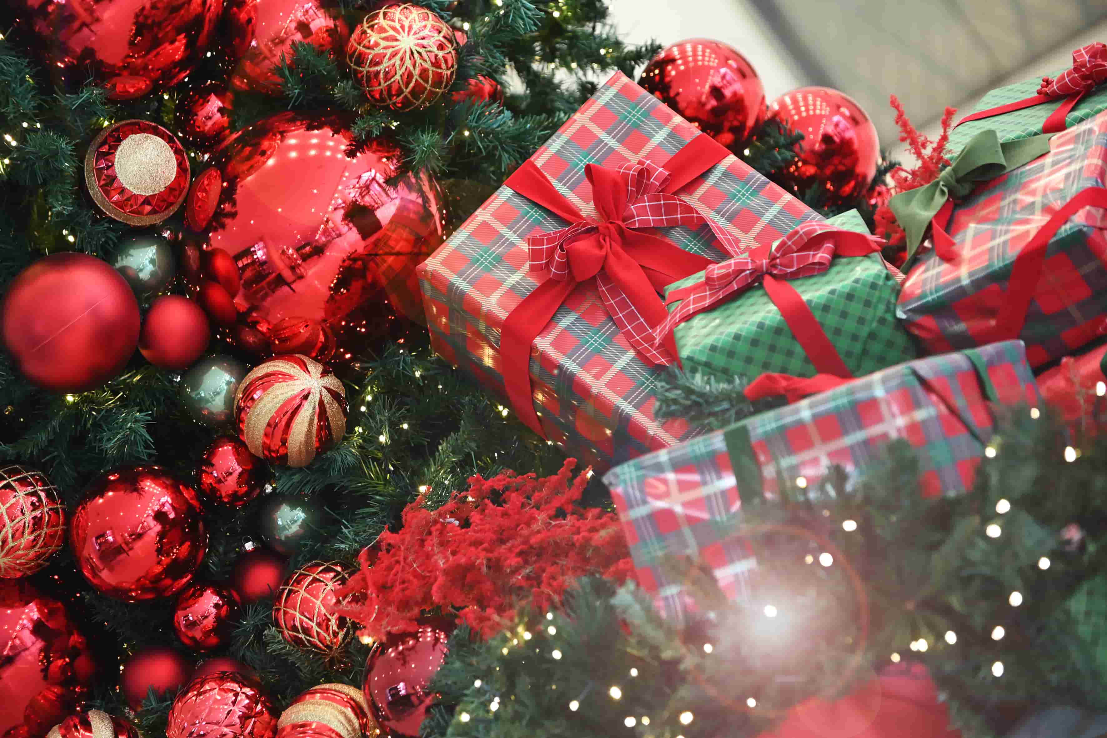 Natale 2025, la spesa cresce del 2,1% in Italia: boom di moda, beauty e piaceri accessibili