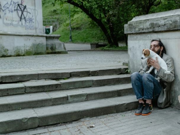 Stop all’accattonaggio con gli animali, il Consiglio comunale di Trento approva la stretta