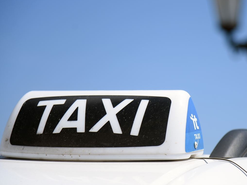 “Niente cani sul mio taxi”: quando l’ignoranza prende il volante