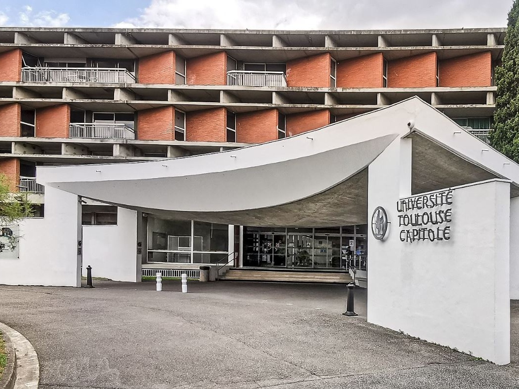 Diritti animali: la rivoluzione silenziosa parte da Tolosa