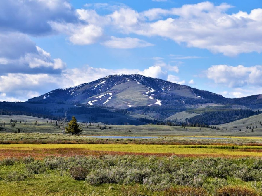 Allarme a Yellowstone: più bufale che bufali