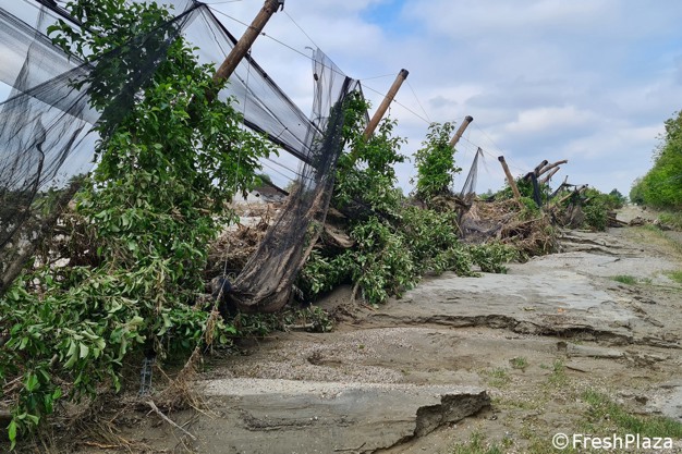 Agricoltura, nasce una rete nazionale per monitorare clima e danni alle colture