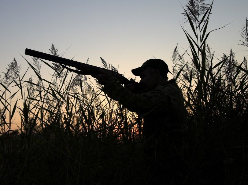 La stagione della discordia: riapre la caccia tra proteste e timori per la biodiversità