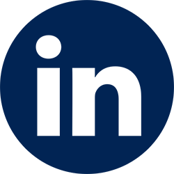 Icona LinkedIn