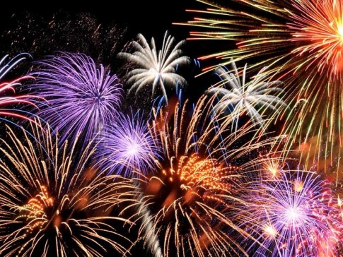 Capodanno: come proteggere i nostri animali dai botti